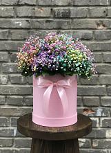 Цветочная композиция из Гипсофила и Розы в шляпной коробке #REPLACE_PRED# Молодежном Республики Крым