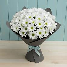 Букет цветов из:  Хризантемы в Молодежном Республики Крым