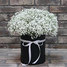 Цветочная композиция из Гипсофила в шляпной коробке #REPLACE_PRED# Молодежном Республики Крым